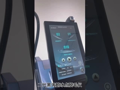 काली हंस